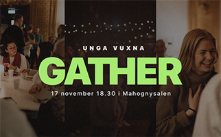 Gather 17 november